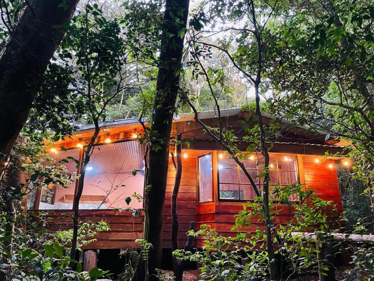 Cabanas La Montana Monteverde Ngoại thất bức ảnh