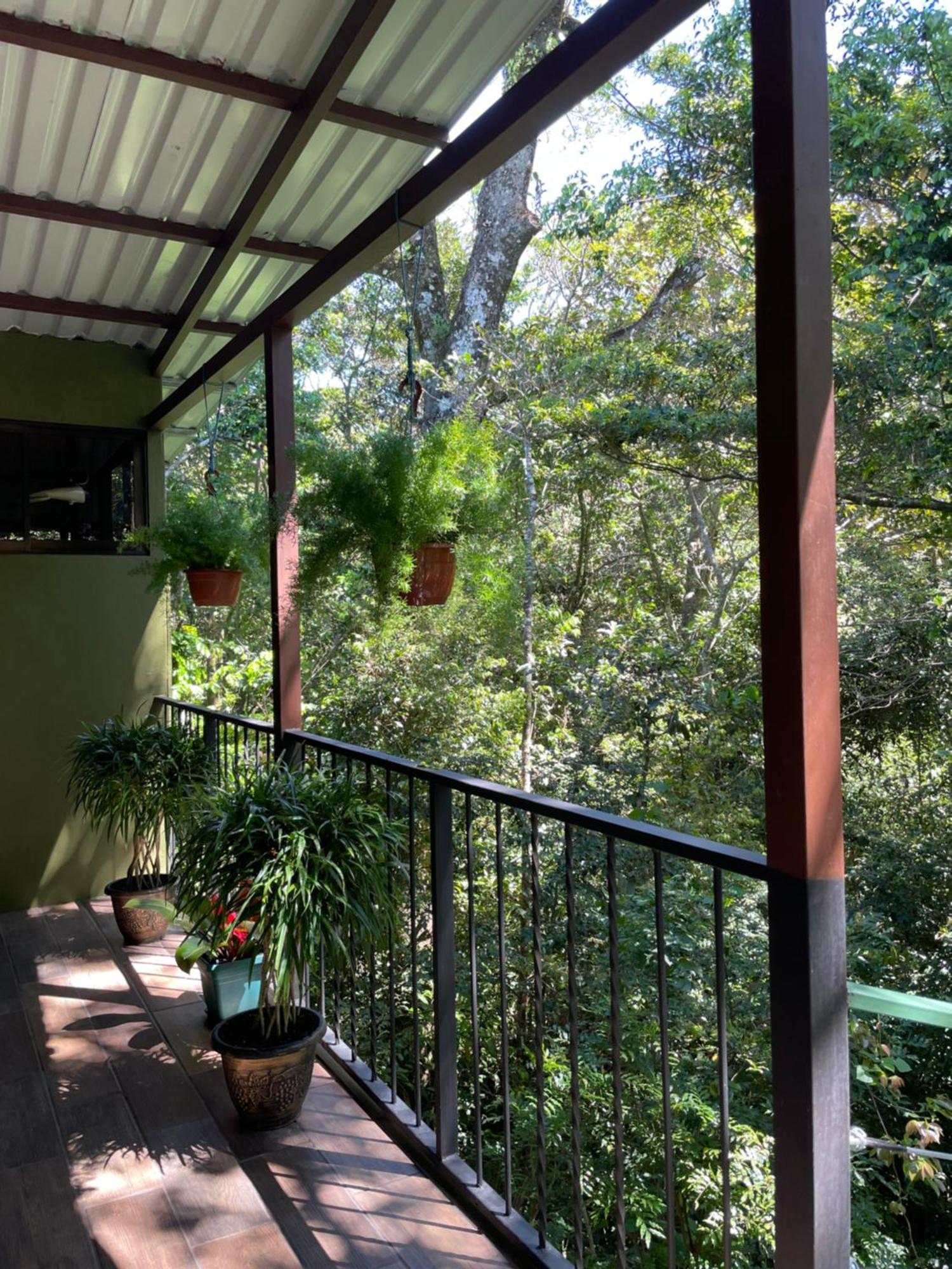 Cabanas La Montana Monteverde Ngoại thất bức ảnh