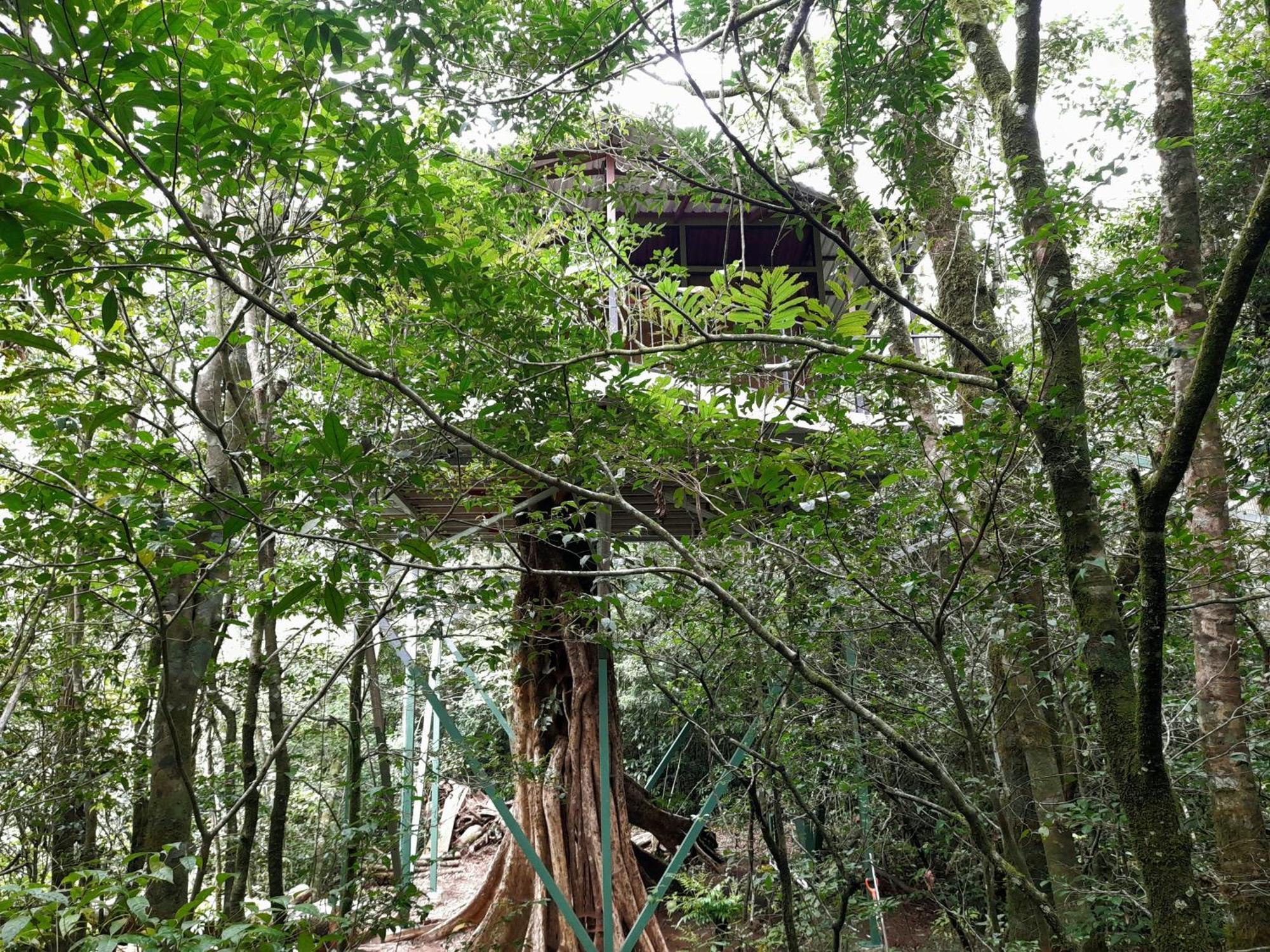 Cabanas La Montana Monteverde Ngoại thất bức ảnh