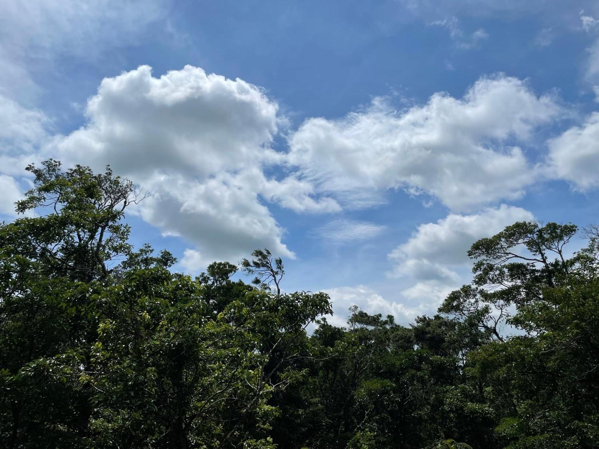 Cabanas La Montana Monteverde Ngoại thất bức ảnh