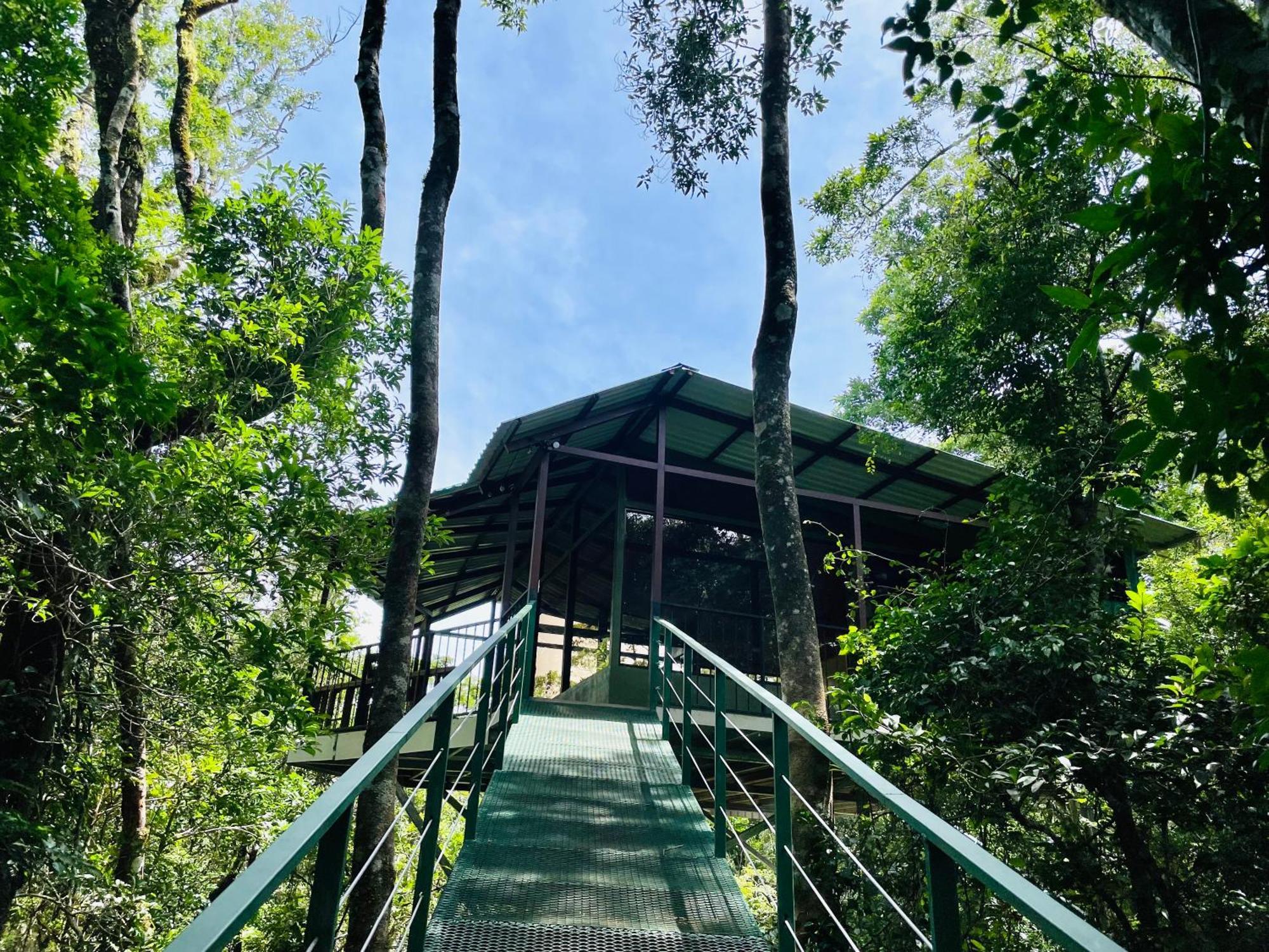 Cabanas La Montana Monteverde Ngoại thất bức ảnh