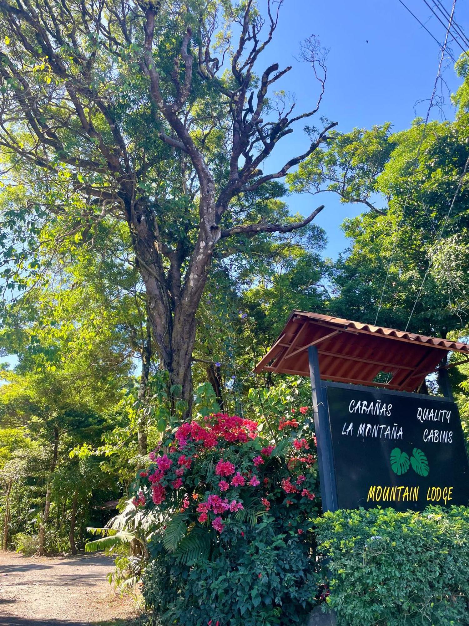Cabanas La Montana Monteverde Ngoại thất bức ảnh